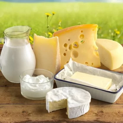 Альтернатива молочным продуктам: Чем заменить молоко, сыр и сливочное масло?